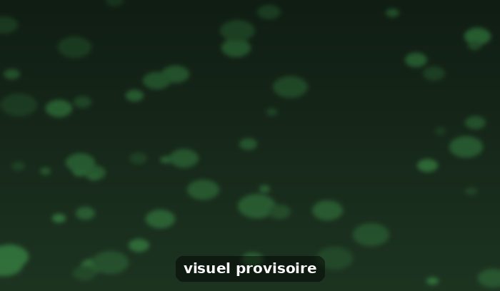 🌳🧗‍♂️ Chez Elag' à li, la sécurité est une priorité, pas une