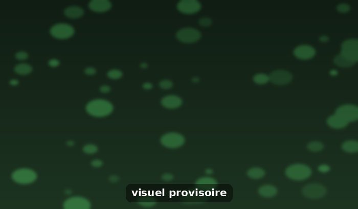 🌳💪 Faites appel à votre expert de l'élagage à la Réunion… El