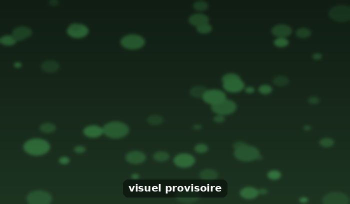 Le début d'année est particulièrement chaud à La Réunion
