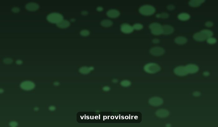 4 astuces pour préserver la santé de vos arbres