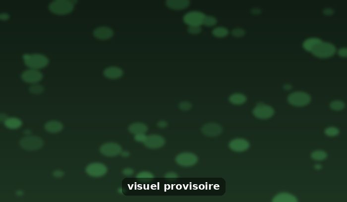 La famille au cœur de nos valeurs