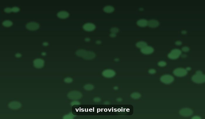 Vive la journée des Micro, Petites et Moyennes Entreprises