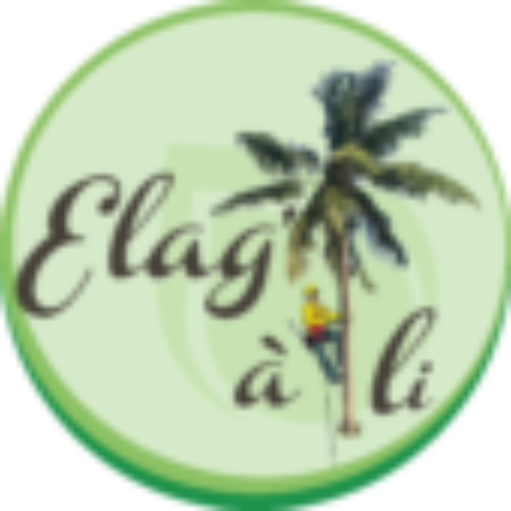 cropped-LOGO-ELAGALI-OFFICIEL-e1552571990844.png